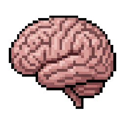 brain
